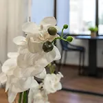 Zizas House * 波尔蒂芒