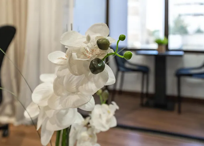 Zizas House * Portimão